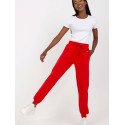 Tracksuit trousers model 169723 BFG