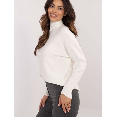 Turtleneck model 203023 BFG