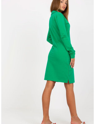 Slightly Fitted Long Sleeve V-Neck Dress for Women