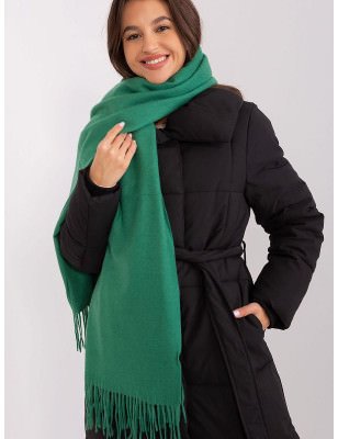 Warm Long Scarf with Tassels for Women