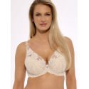 Sophia Push-Up Bra Delicate Lace Design Removable Pads Vertical Cut