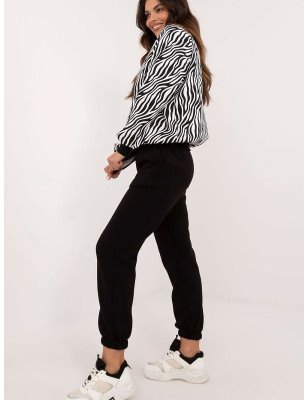 Animal Print Casual Set Long Sleeve Blouse & Pants