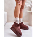 Stylish Ankle Snow Boots Warm Platform Winter Booties